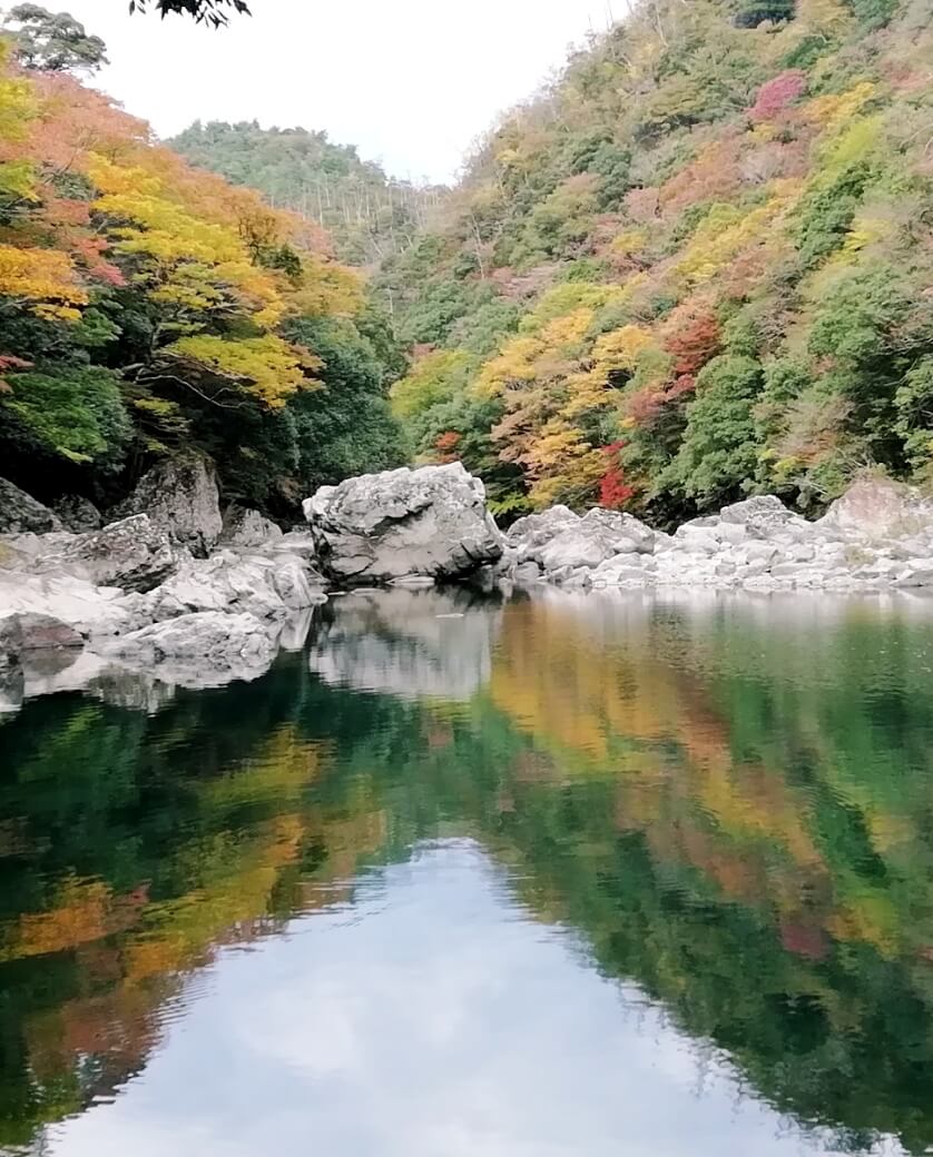 インタビュー者画像